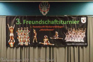 Neckarweihingen_2015_Jug_0002